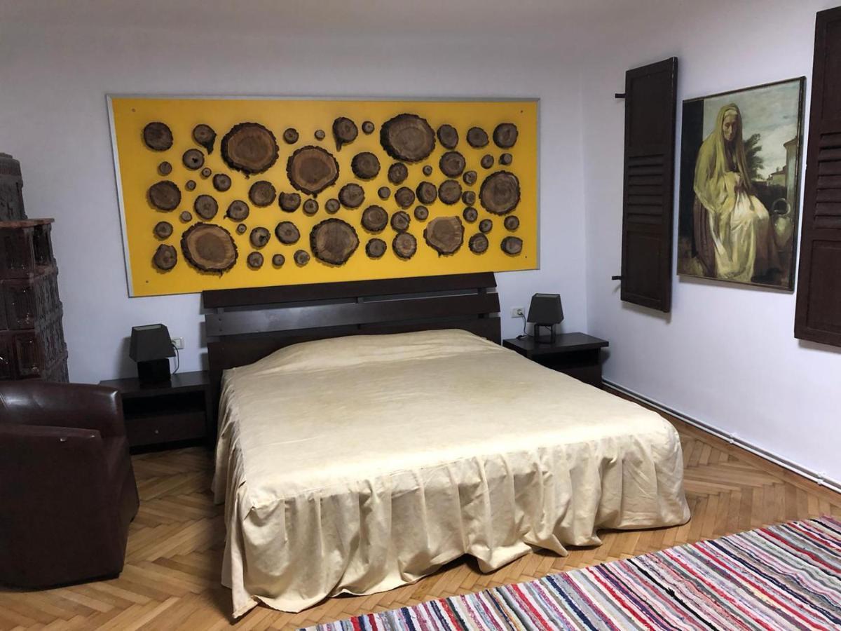 Garsoniera Centru Brasov 아파트 외부 사진