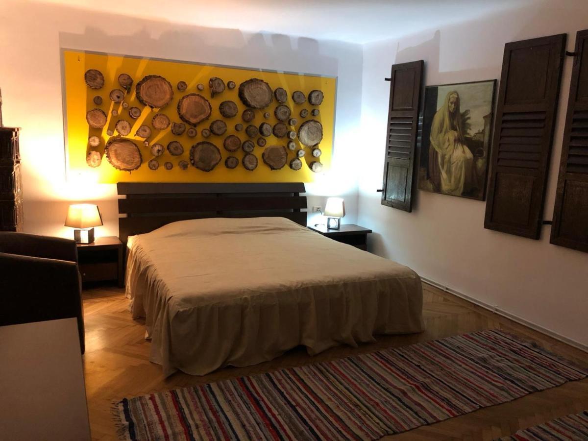 Garsoniera Centru Brasov 아파트 외부 사진