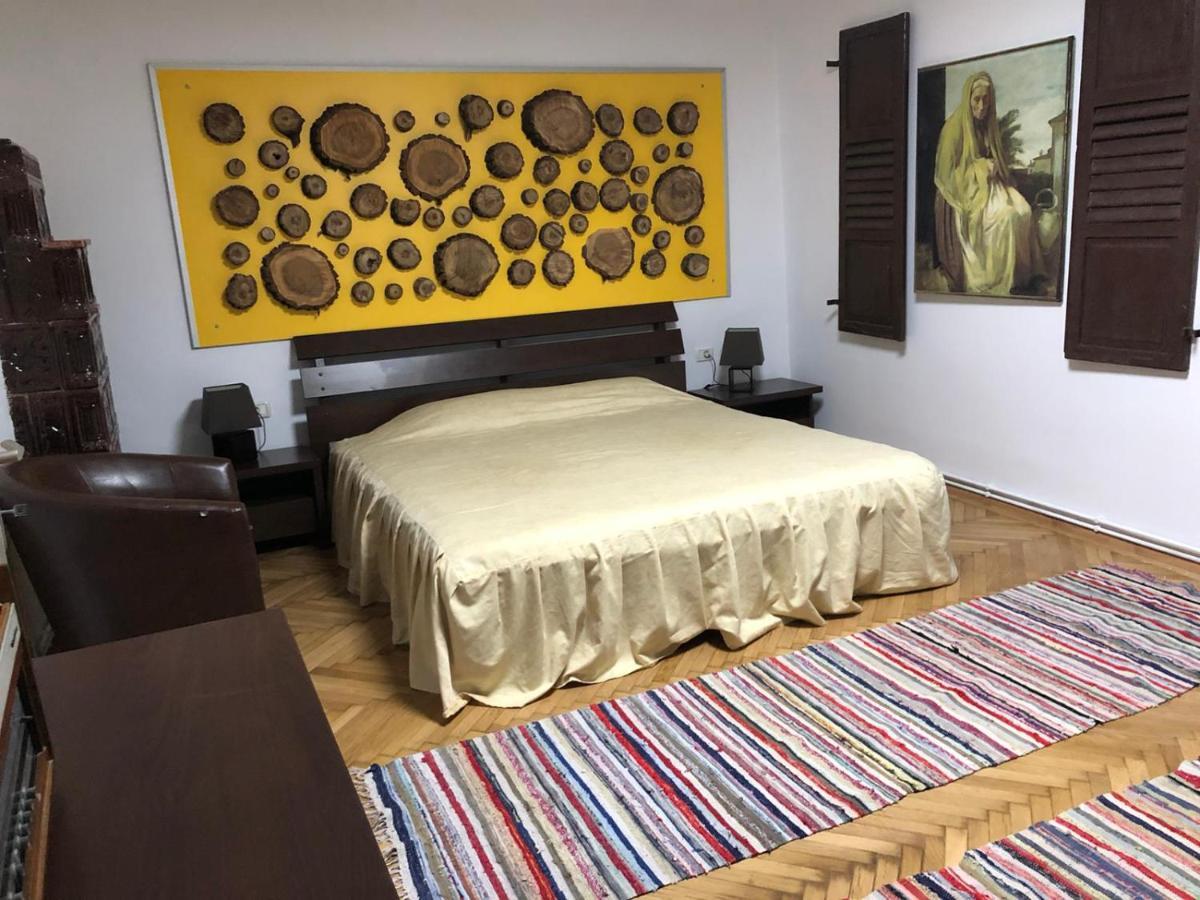 Garsoniera Centru Brasov 아파트 외부 사진
